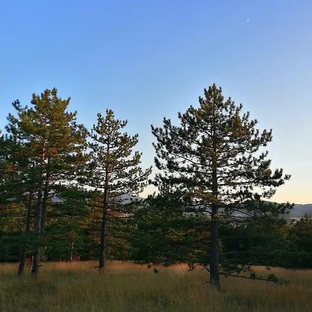 Kuca Za Odmor Arsenijevic Prázdninový dům Zlatibor