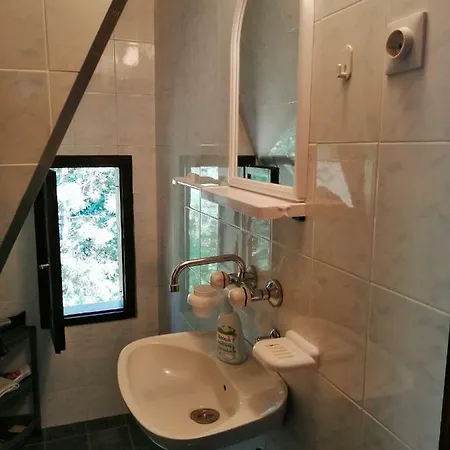 Kuca Za Odmor Arsenijevic * Zlatibor