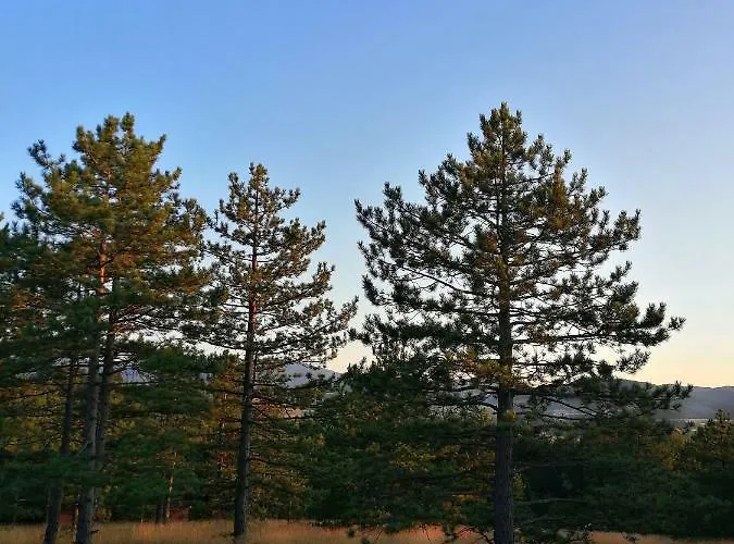 Kuca Za Odmor Arsenijevic Vikendica Zlatibor