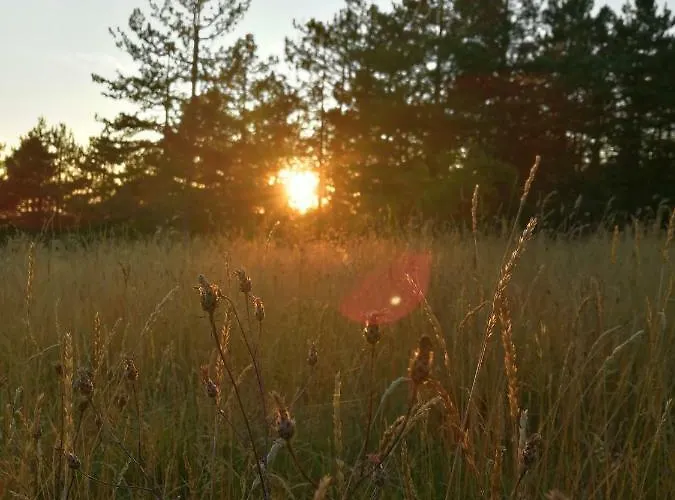 Kuca Za Odmor Arsenijevic