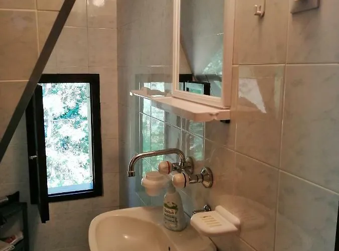 Kuca Za Odmor Arsenijevic * Zlatibor